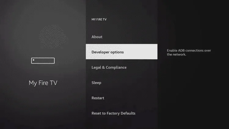 developer options