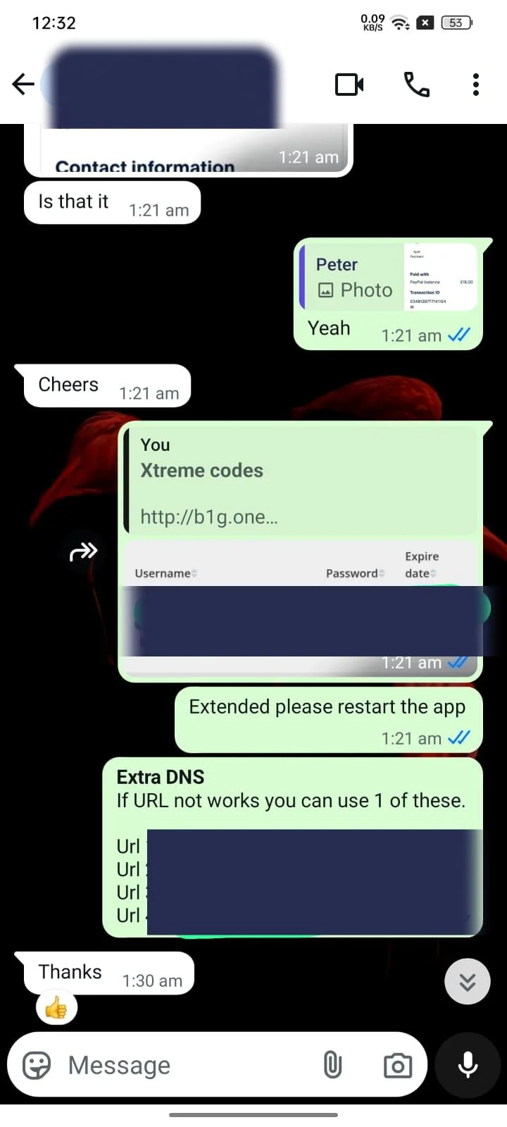 Untitled design (16)